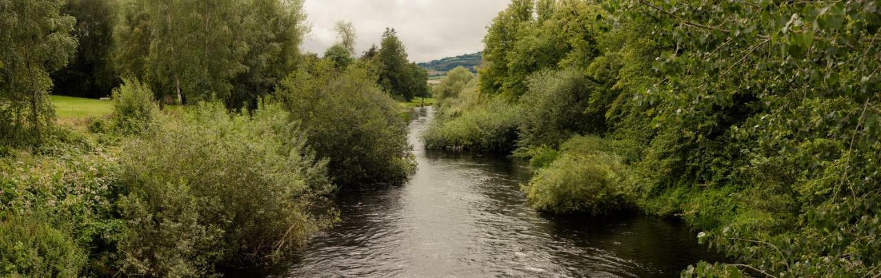 Woodford Dolmen Hotel Carlow Dış mekan fotoğraf